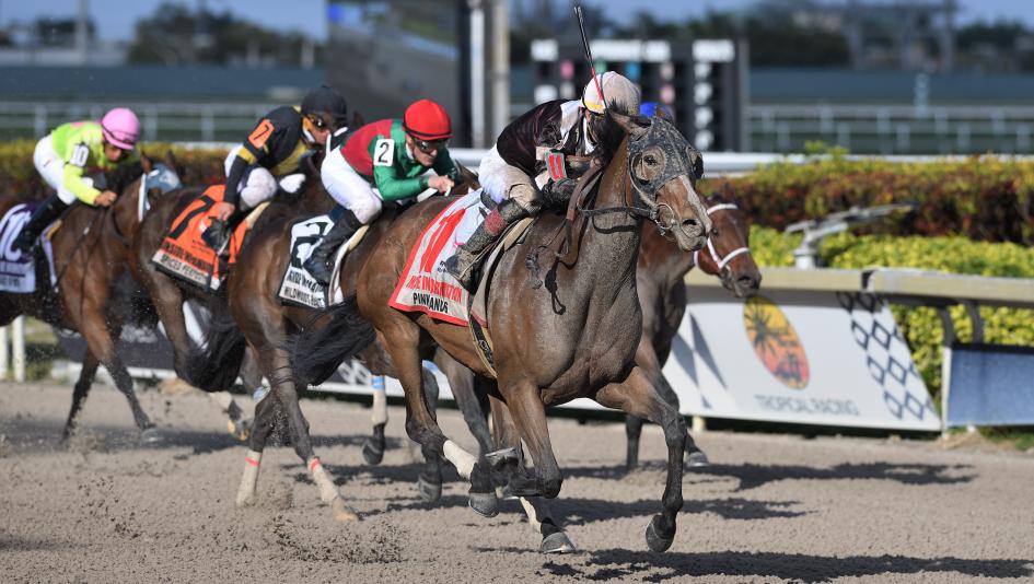 Pink Sands Inside Information